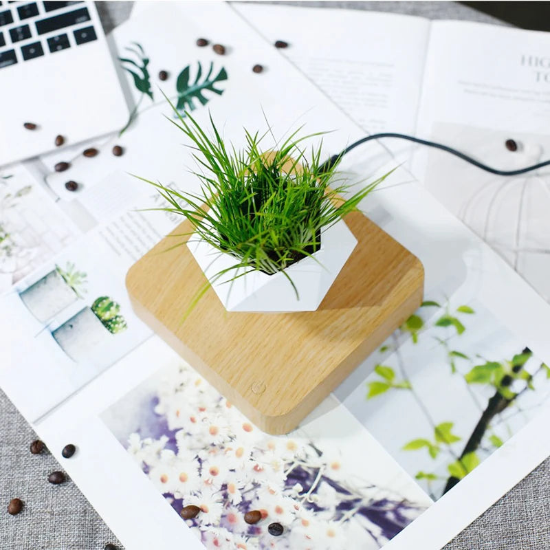 Vaso Branco flutuante para planta