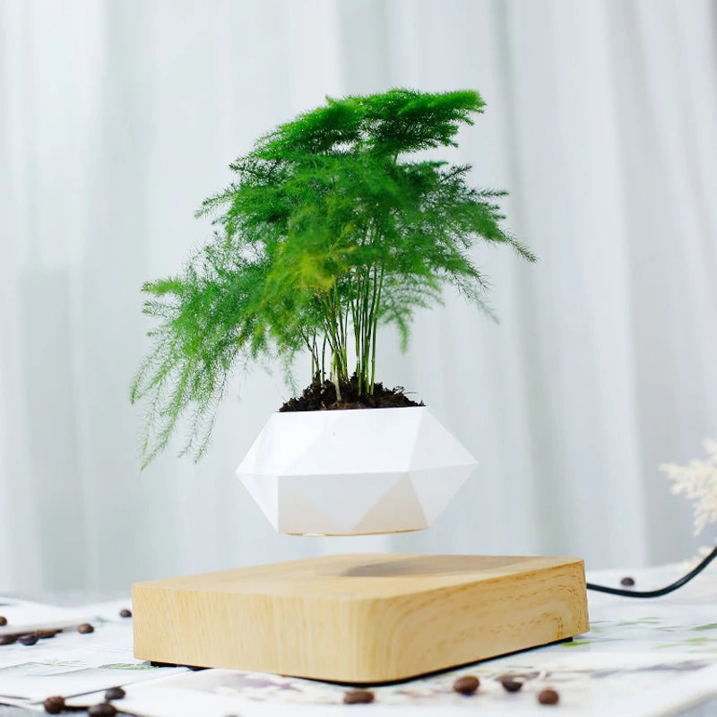 Vaso Branco flutuante para planta