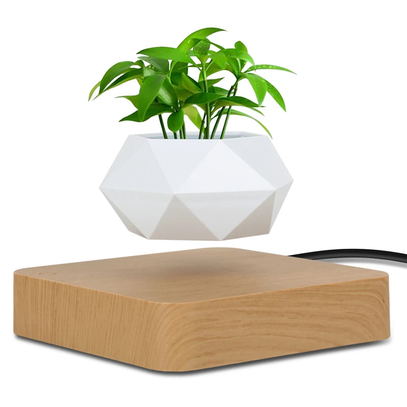 Vaso Branco flutuante para planta