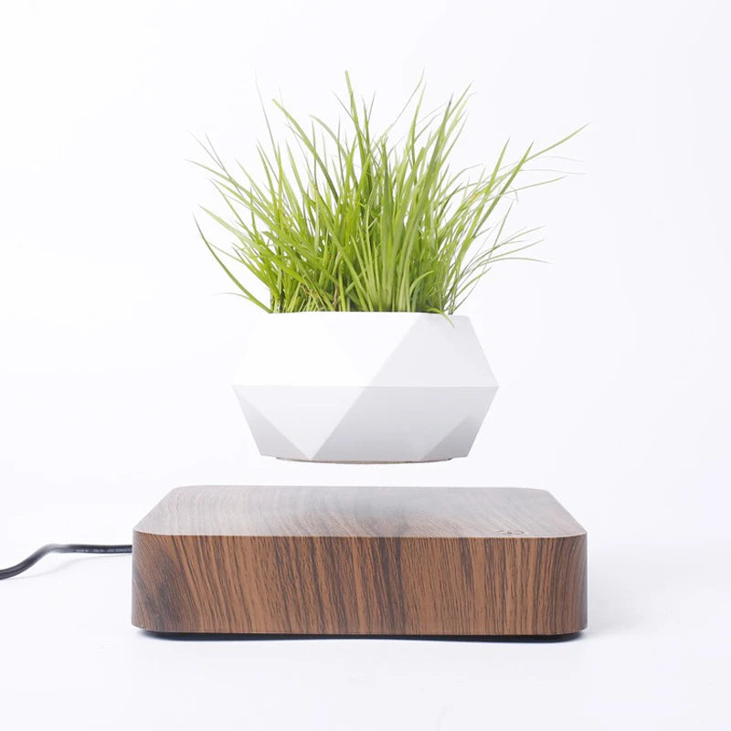 Vaso Branco flutuante para planta