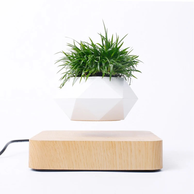 Vaso Branco flutuante para planta