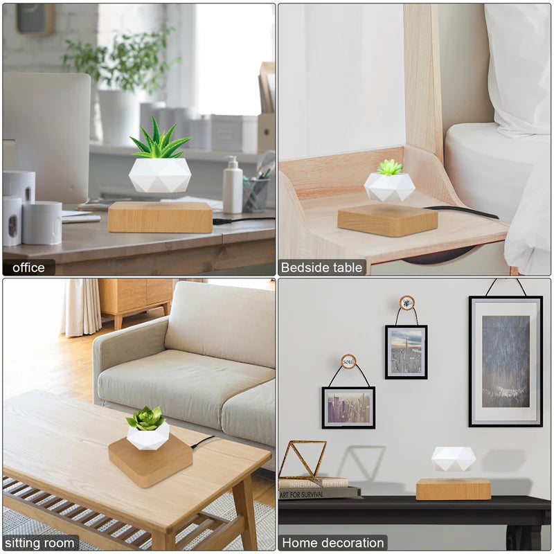 Vaso Branco flutuante para planta