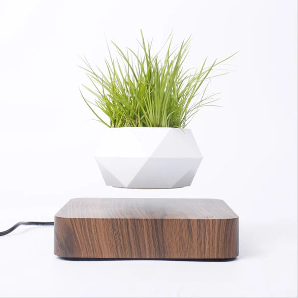 Vaso Branco flutuante para planta