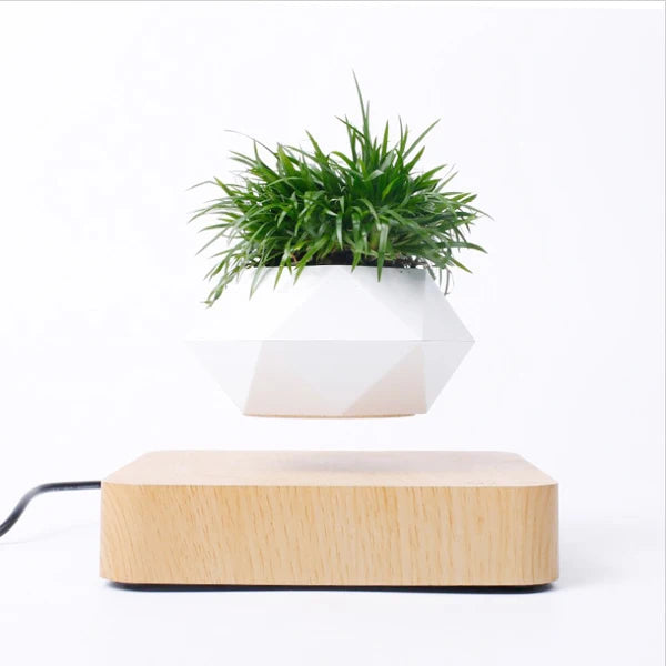 Vaso Branco flutuante para planta