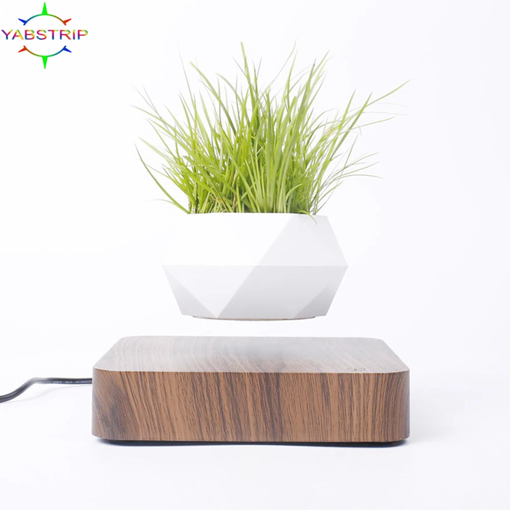 Vaso Branco flutuante para planta
