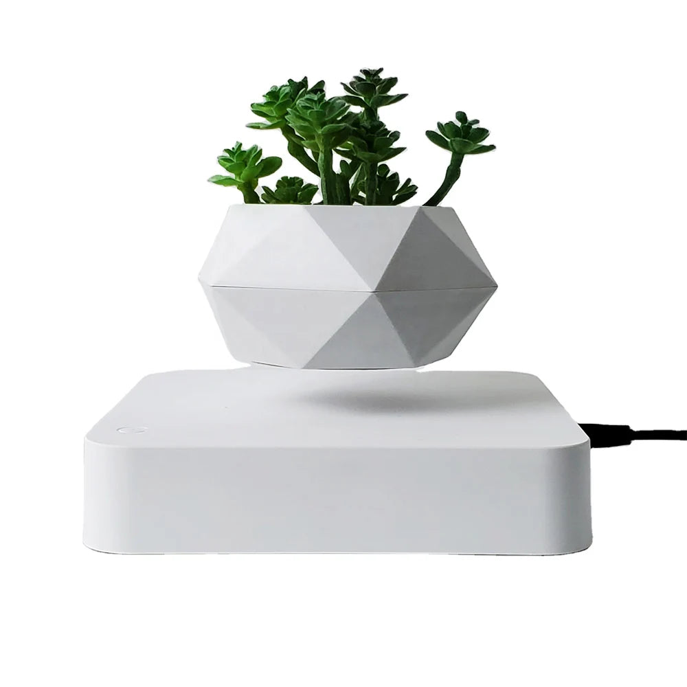 Vaso Branco flutuante para planta