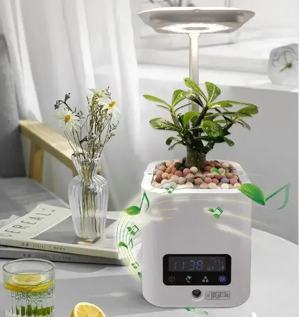 Vaso de flores umidificador multifuncional
