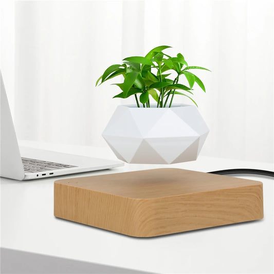 Vaso Branco flutuante para planta