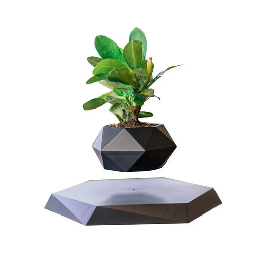 Vaso Preto flutuante para planta